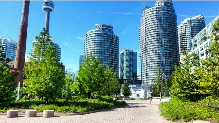 Toronto Style Harbourfront